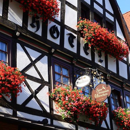 Hotel Zum Braunen Hirschen Bad Driburg Exterior photo