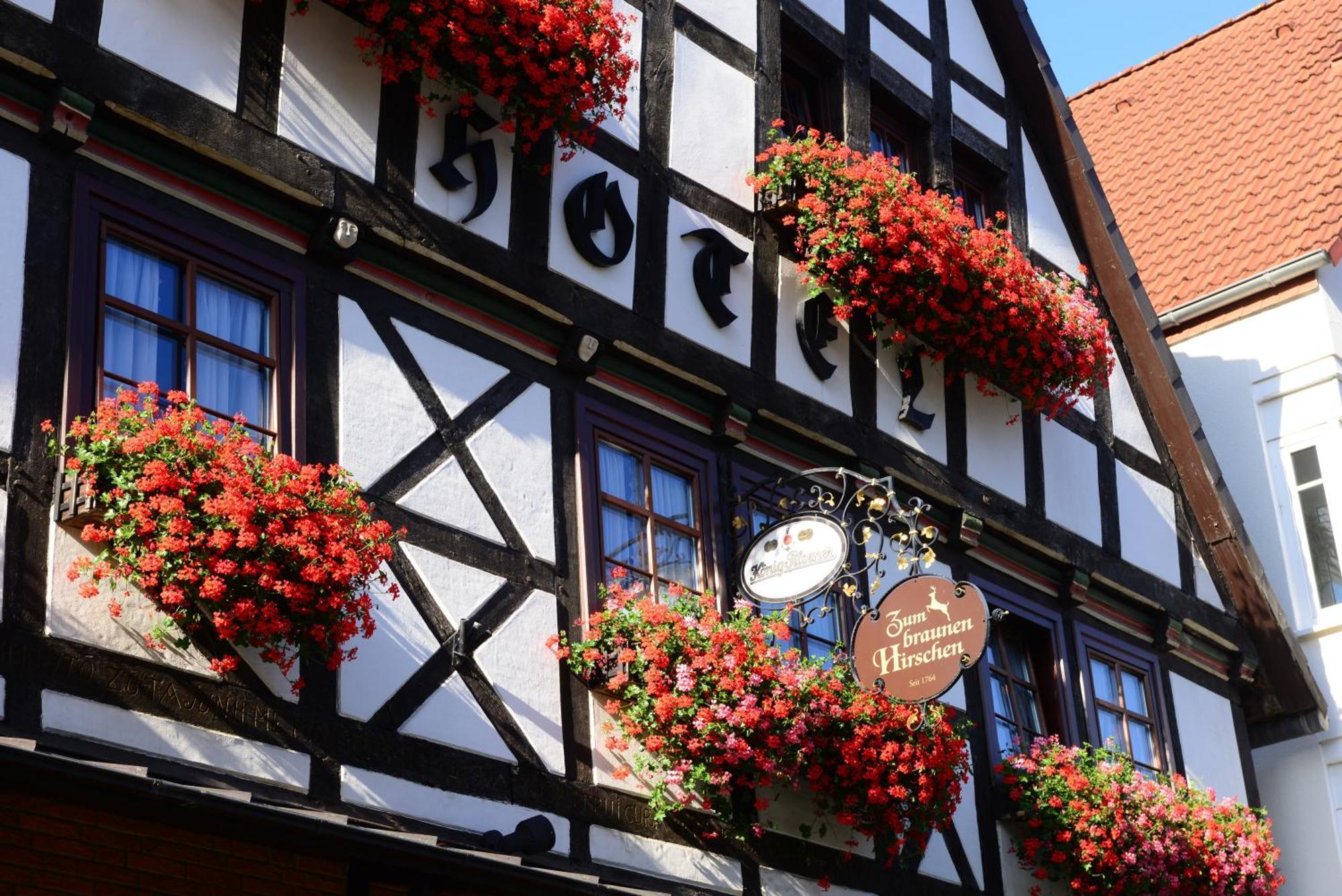 Hotel Zum Braunen Hirschen Bad Driburg Exterior photo